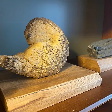 Pechblend & Silberstein 公寓 亚希莫夫